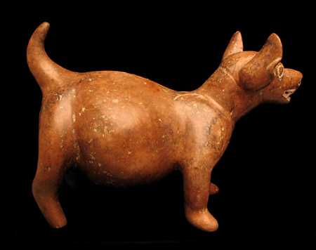 Colima Dog, Ancient West Mexico Pre-Columbian Art