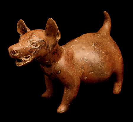 Colima Standing Dog, Ancient West Mexico Pre-Columbian Art