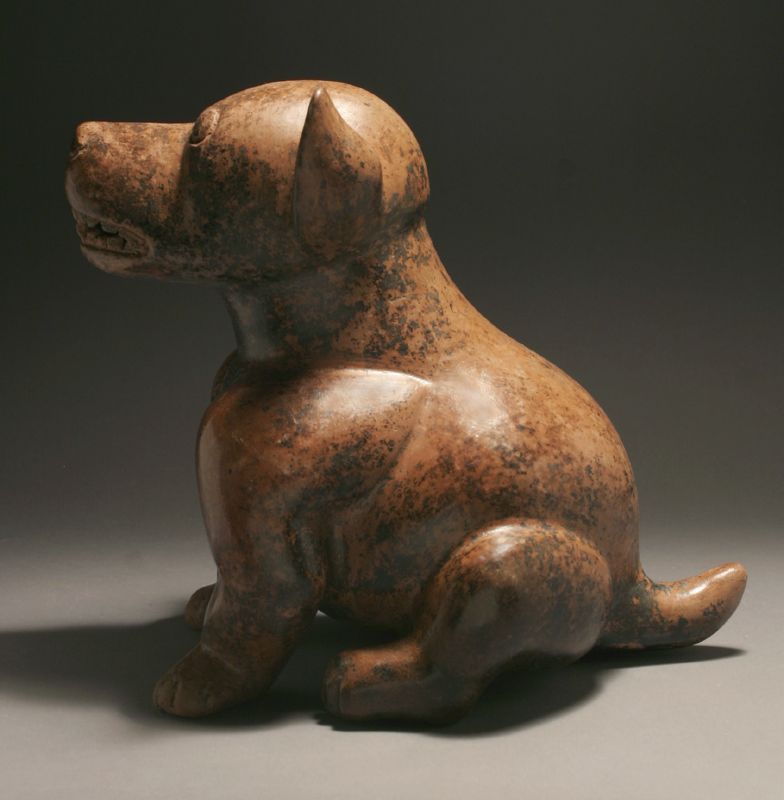 col-seated-pup1
