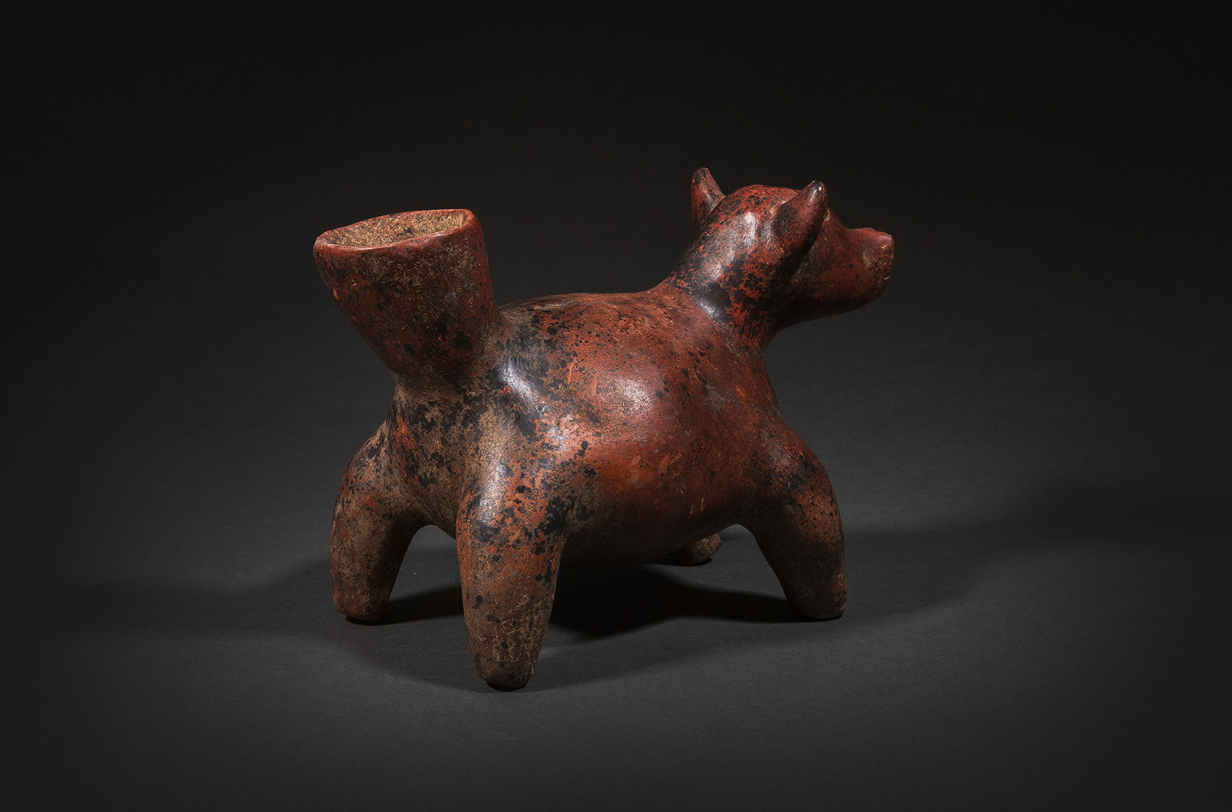 Colima standing dog sculpture 8